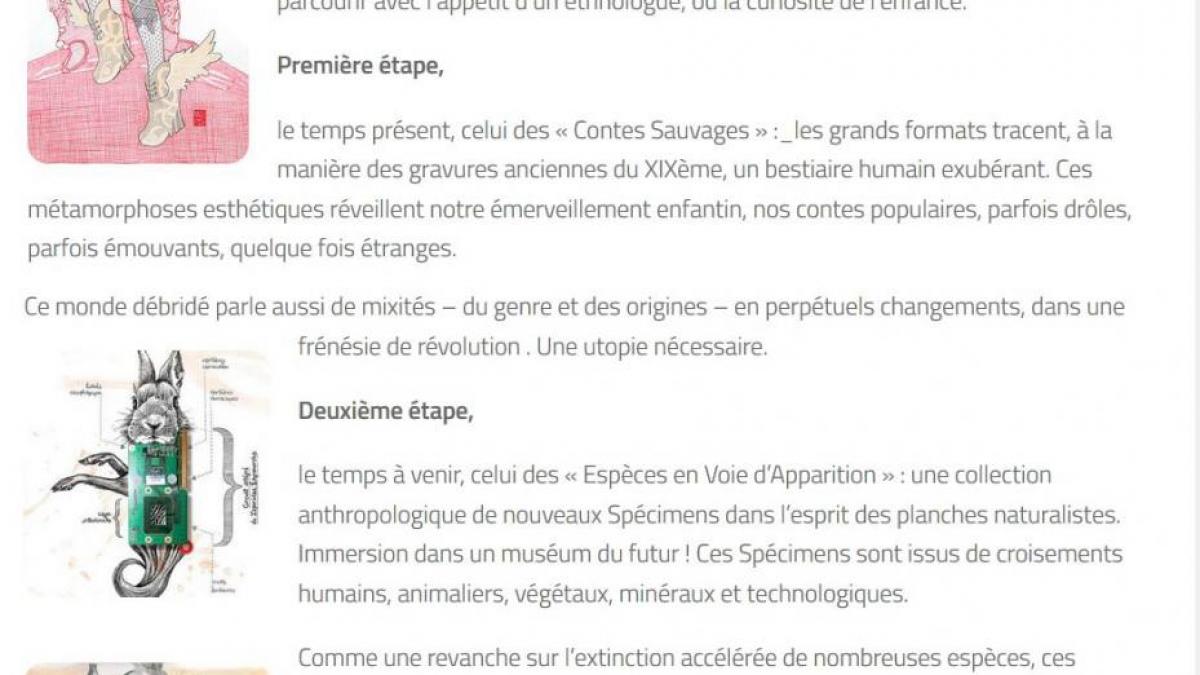 Contemporanéites de l'Art // avril 2017
