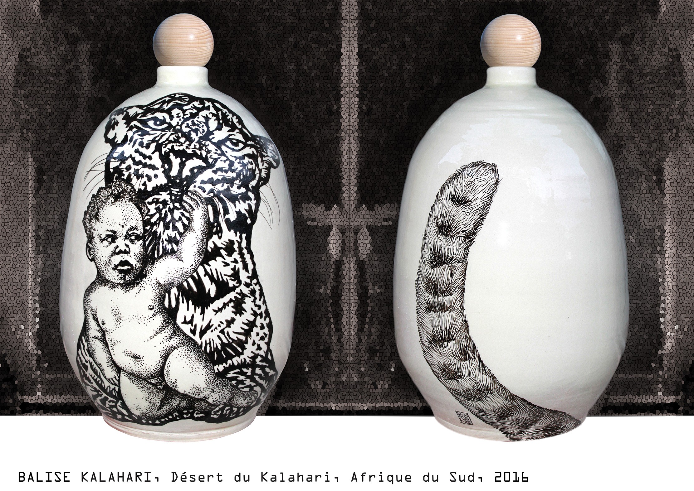 Balise kalahari  / elia pagliarino
